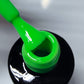 Polish Color 12 HEMA&TPO FREE (8 ml)